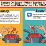 Saucey Or Saucy